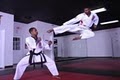 Detroit Martial Arts Institute image 9