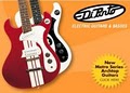 Di Pinto's Guitars image 3