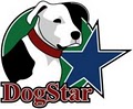 DogStar Training Systems image 1
