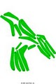 Dorset Field Club logo
