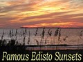 Edisto Real Estate Company image 5