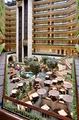 Embassy Suites Dallas Love Field image 9