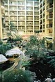 Embassy Suites Hotel Baton Rouge image 9
