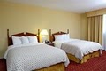 Embassy Suites Tampa - Airport/ Westshore image 7
