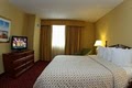 Embassy Suites Tampa - Airport/ Westshore image 8