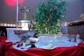 Enchanted Gardens Banquet Hall & Garden Events image 2