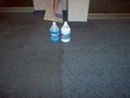 Extractions Carpet Cleaning image 1