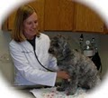 Fairfax Veterinary Clinic image 2