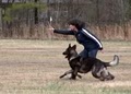 Flint Hill K-9 - Exceptional Dog Training - Birmingham, AL image 8