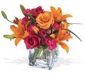 Flowers Xpress, Inc. image 1