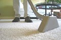Forever Carpet cleaning & Upholstery Cleaning image 2