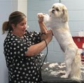 Georjeans Pet Grooming image 7