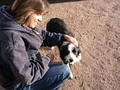Got2go Pet Sitting Castle Rock Colorado House Sitting image 2