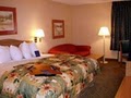 Hampton Inn Dallas-Addison, TX image 4