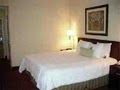 Hampton Inn Tallahassee-Central image 7