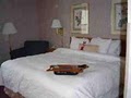 Hampton Inn Zanesville image 7