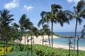 Hawaii Activities Ko Olina & Disney Tours image 1