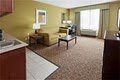 Holiday Inn Express Hotel & Suites Waller image 3