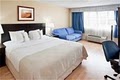 Holiday Inn Hotel Niagara Falls image 3