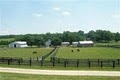 Horse Farm Boarding Stables image 2