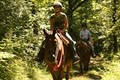 Horseback Riding at YMCA Camp Willson image 2