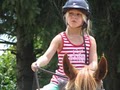 Horseback Riding at YMCA Camp Willson logo