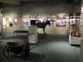 Hubbard Museum-American West image 1