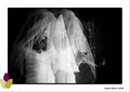 In His Grace Photography- Maryland Wedding Photographer image 1