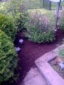 Indy Lawn Care and mulching image 2