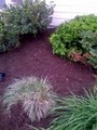 Indy Lawn Care and mulching image 5