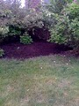 Indy Lawn Care and mulching image 6