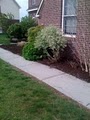 Indy Lawn Care and mulching image 7