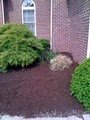 Indy Lawn Care and mulching image 8