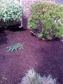 Indy Lawn Care and mulching image 10