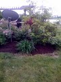 Indy Lawn Care and mulching image 1