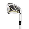 International Golf Rental & Sales, Inc. image 2