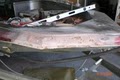 John's Fiberglass Boat Repair image 6