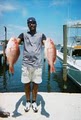 Joyful Events Deep Sea Lake Fishing Trips Charters Videos, Beach Resort Outings image 5