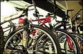 Kozy's Cyclery Megastore image 2