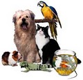 Krystel's Petsitting Services image 7