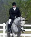 Kubicki Eventing- Riding Lessons, Training & Boarding image 5