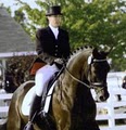 Kubicki Eventing- Riding Lessons, Training & Boarding image 7