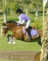 Kubicki Eventing- Riding Lessons, Training & Boarding image 8