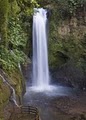 LA PAZ WATERFALL GARDENS TOUR COSTA RICA image 4