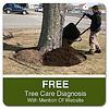 Landtek Environmental Tree Service LLC image 5
