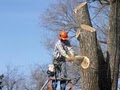 Landtek Environmental Tree Service LLC image 1