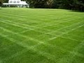 Lawn And Gardens By Norm, LLC - Lawn Care Service, Property Maintenance image 4