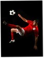 Ligonier Soccer logo