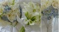 Limelight Floral Design image 3