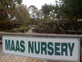 Maas Nursery and landscaping image 6